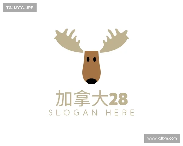 了解加拿大28